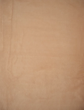 Baránková deka mikroplyš 220 × 200 cm – Laura mandľová