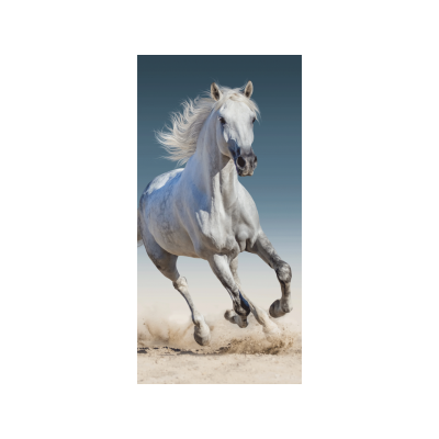 Jerry Fabrics Detská osuška 70 × 140 cm ‒ Kůň 03