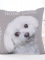 Povlak na polštářek 40 × 40 cm – Maltézský psík Štěňátko